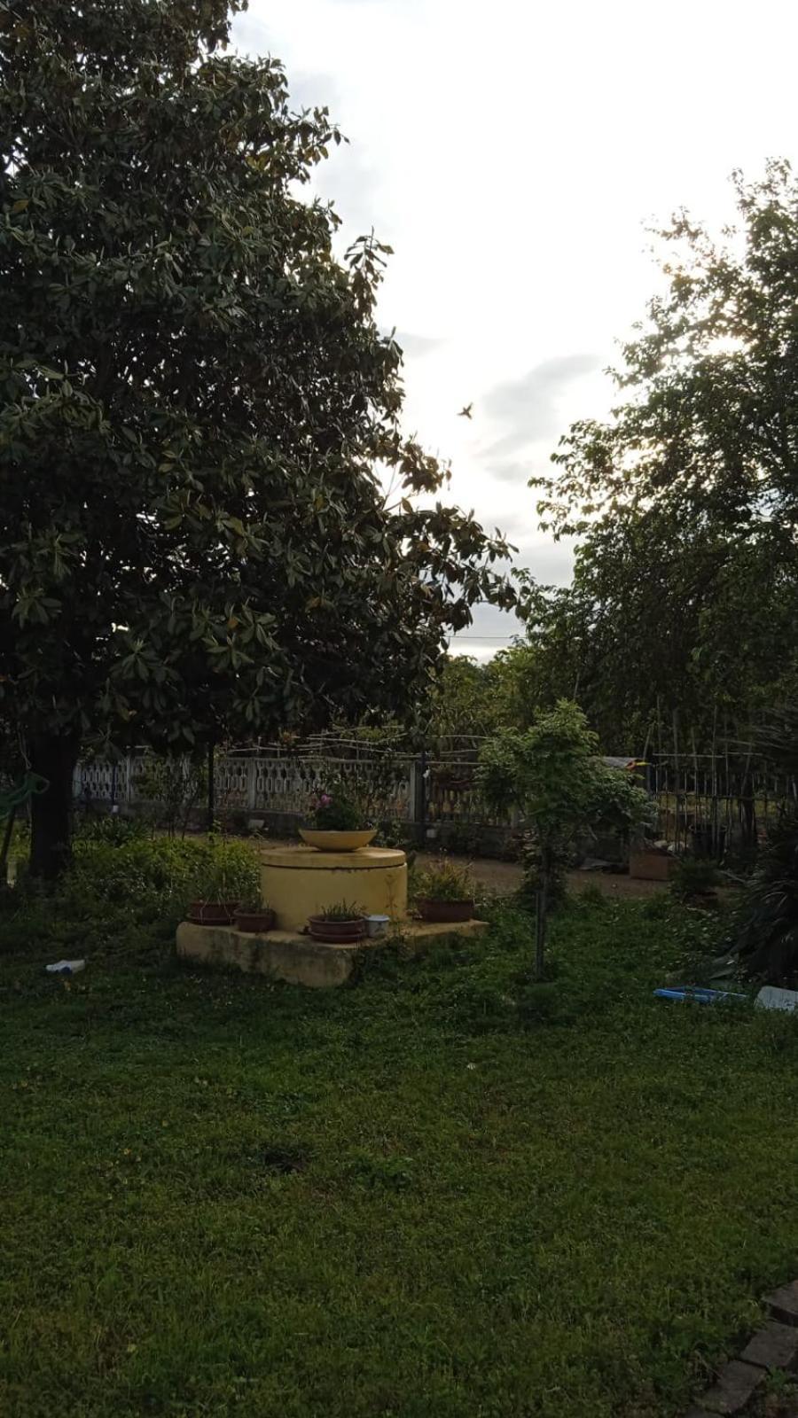 Apartamento Casina Maria Roma Exterior foto